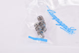 NOS/NIB Campagnolo Super Record #RD-SR010 Set-Stop Screws with Springs from the 2000s - 2020s