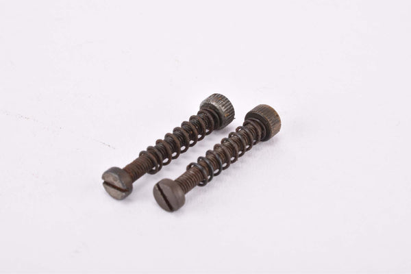 Campagnolo short fork ends drop out adjusting screws in 24 mm