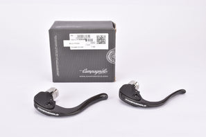NOS/NIB Campagnolo TT Carbon #BL12-CRCGC/BL12-TTCGC Bar End Brake Lever Set from the 2010s