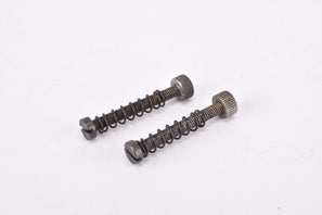 Campagnolo Nuovo Record short fork ends drop out adjusting screws in 24 mm