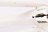 Defective White Locomotief Amsterdam Tour de France frame set in 55.5 cm (c-t) / 54.0 cm (c-c) with Reynolds 531 tubing from the 1950s / 1960s