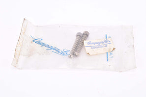 NOS Campagnolo (C-Record) ligth aloy drop out adjusting screws in 24 mm
