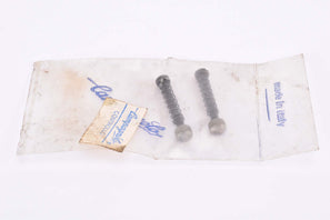 NOS Campagnolo drop out adjusting screw in 24 mm