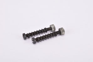 Campagnolo drop out adjusting screw in 24 mm
