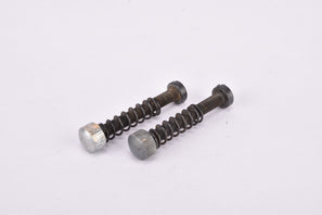 Campagnolo drop out adjusting screw in 24 mm