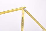 Pinarello Special GPT frame in 52 cm (c-t) / 50.5 cm (c-c) with Columbus tubing from the 1970s