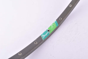 NOS Bayer single Tubular Rim in 28"/700C with 36 holes