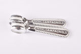 NOS Campagnolo Record / Super Record #1014 (#1013/5 & #1013/6) braze-on Gear Lever Shifter Set from the 1980s
