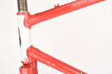 Gazelle Cross Trophy Cyclocross frame in 55.5 cm (c-t) / 54 cm (c-c) with Campagnolo Dropouts