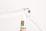 Gios Super Record frame in 49.5 cm (c-t) / 48 cm (c-c) with Columbus tubes
