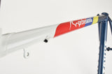 Batavus Professional frame in 58 cm (c-t) / 56.5 cm (c-c) with Campagnolo dropouts