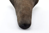 NEW Selle Royal Saronni Saddle from the 1980s NOS