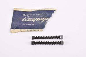 NOS Campagnolo #302/1 Dropout adjusting Screws for Vintage Steelframes, 40mm