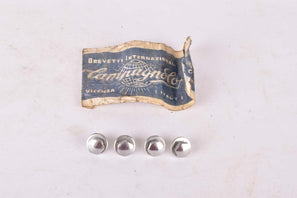 NOS Campagnolo Pedal Toe Clip Mounting Bolts #676 and Washers #677