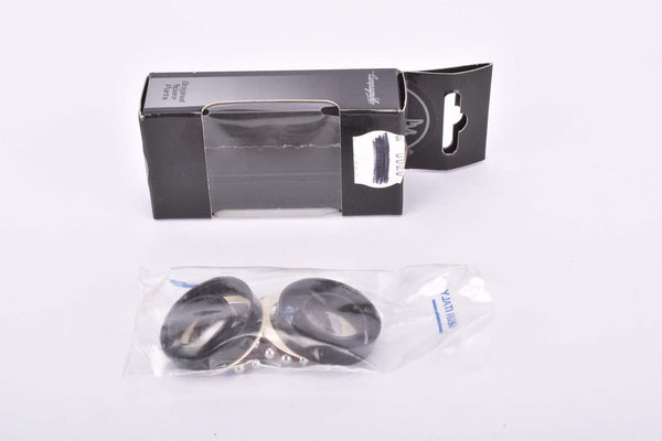 NOS/NIB Campagnolo Record #HB-RE100 Hub Renewing Kit