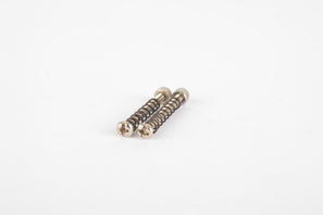 Dropout adjusting Screws for Vintage Steelframes, 30mm