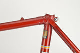 Batavus Professional frame in 52 cm (c-t) / 50.5 cm (c-c), with Columbus tubing