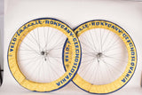Blue and Yellow Favorit Rokycany Professional Team Service Wheel Cover Tire Saver Set