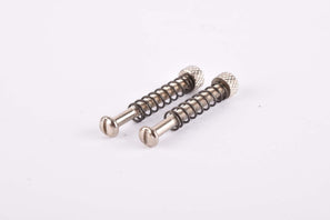 NOS Dropout adjusting Screws for Vintage Steelframes, 28mm