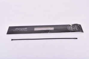 NOS Campagnolo Shamal / Eurus #WH-105SHB front blade spoke in 279.2 mm