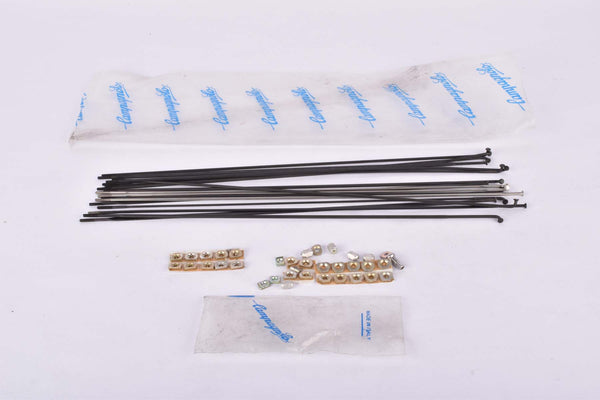 NOS bunch of Campagnolo Various Spokes (blade spokes, normal spokes, straight spokes) and small parts such as nipples and washer