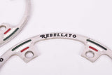 Campagnolo Super Record / Record Rebellato Panto Chainring chain guard protector set with 144 BCD for Cyclocross