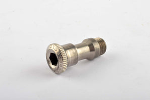 Campagnolo Super Record rear derailleur titanium hanger bolt from the 1970s - 80s