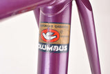 Batavus Professional frame 58 cm (c-t) / 56.5 cm (c-c) with Columbus tubing