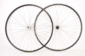 Wheelset with Alesa 913 Rims and Campagnolo Athena Hubs