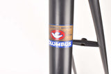 Pinarello Record / Super Record Special frame in 58.5 cm (c-t) / 57.0 cm (c-c) with Columbus SL tubing from the late 1970s / early 1980s