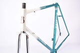 Batavus Professional frame in 58 cm (c-t) / 56.5 cm (c-c) with Columbus SL tubing from the 1980s