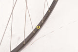 28" (700C) Wheelset with Omega Strada Hardox Tubular Rims and Campagnolo Record #1034 Hubs