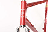 restored Chesini Innovation frame 56 cm (c-t) / 49 cm (c-c) Columbus EL oversize tubing