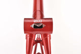 restored Chesini Innovation frame 56 cm (c-t) / 49 cm (c-c) Columbus EL oversize tubing
