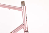 restored Chesini Professional Precision frame 60 cm (c-t) / 58.5 cm (c-c) Columbus tubing