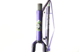 Jan Janssen Vuelta frame 58.5 cm (c-t) / 57 cm (c-c) H.R.3 Tubing
