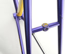 Gazelle Champion Mondial AA Special frame 59 cm (c-t) / 57.5 cm (c-c) Reynolds 531