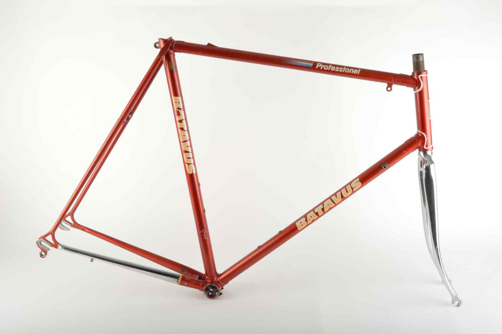 batavus schutzblech Batavus Professional Frame 61 cm (c-t) / 59,5 cm (c-c) Columbus SL / S – Velosaloon.com
