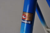 Batavus Professional Frame 58 cm (c-t) / 56,5 cm (c-c) Columbus