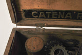 Regina Extra Freewheel Sprockets in Box